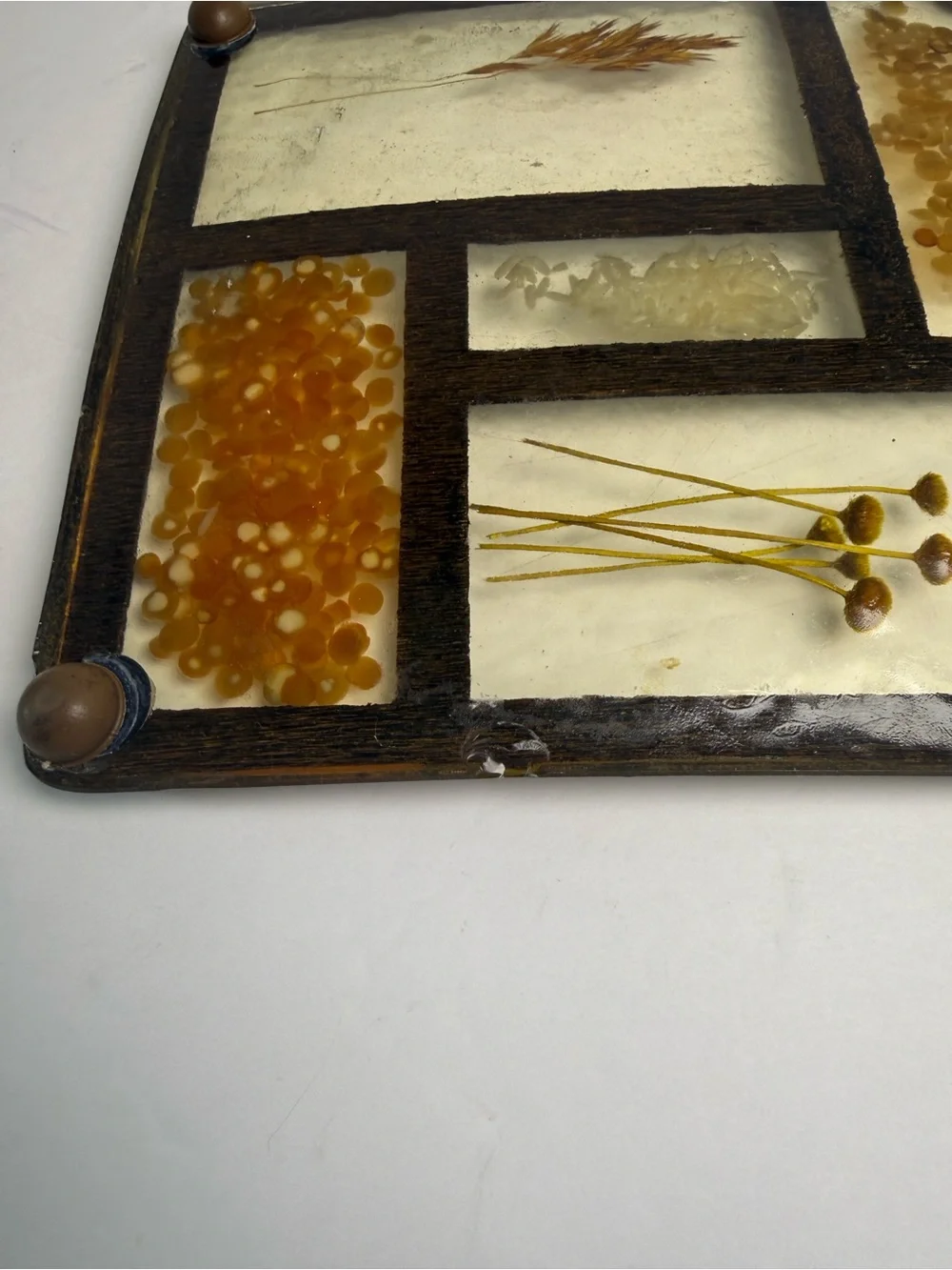 Botanical Glass Panel Wall Decor in Amber and Cream